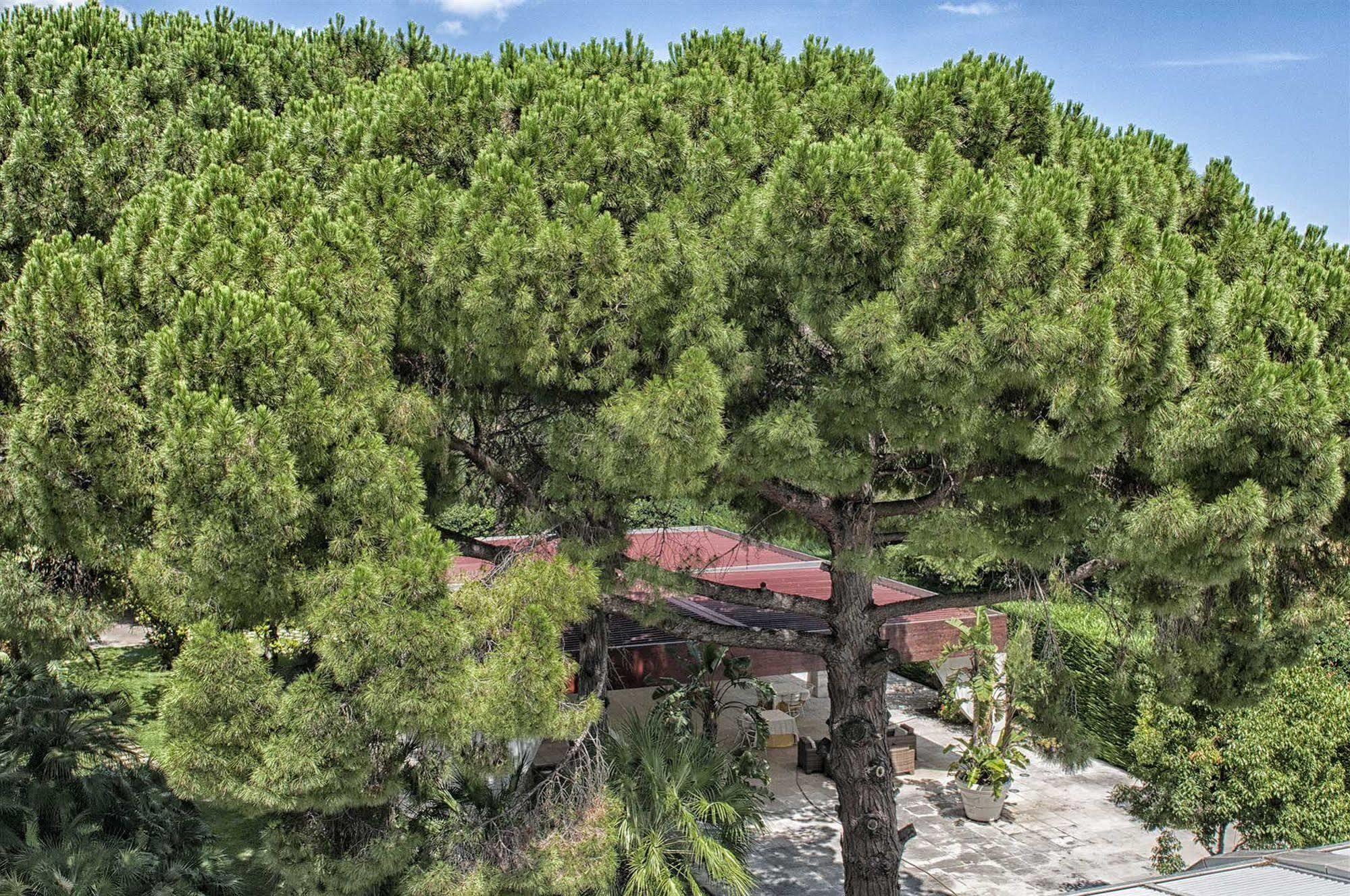 Garden Hotel Molfetta Bagian luar foto