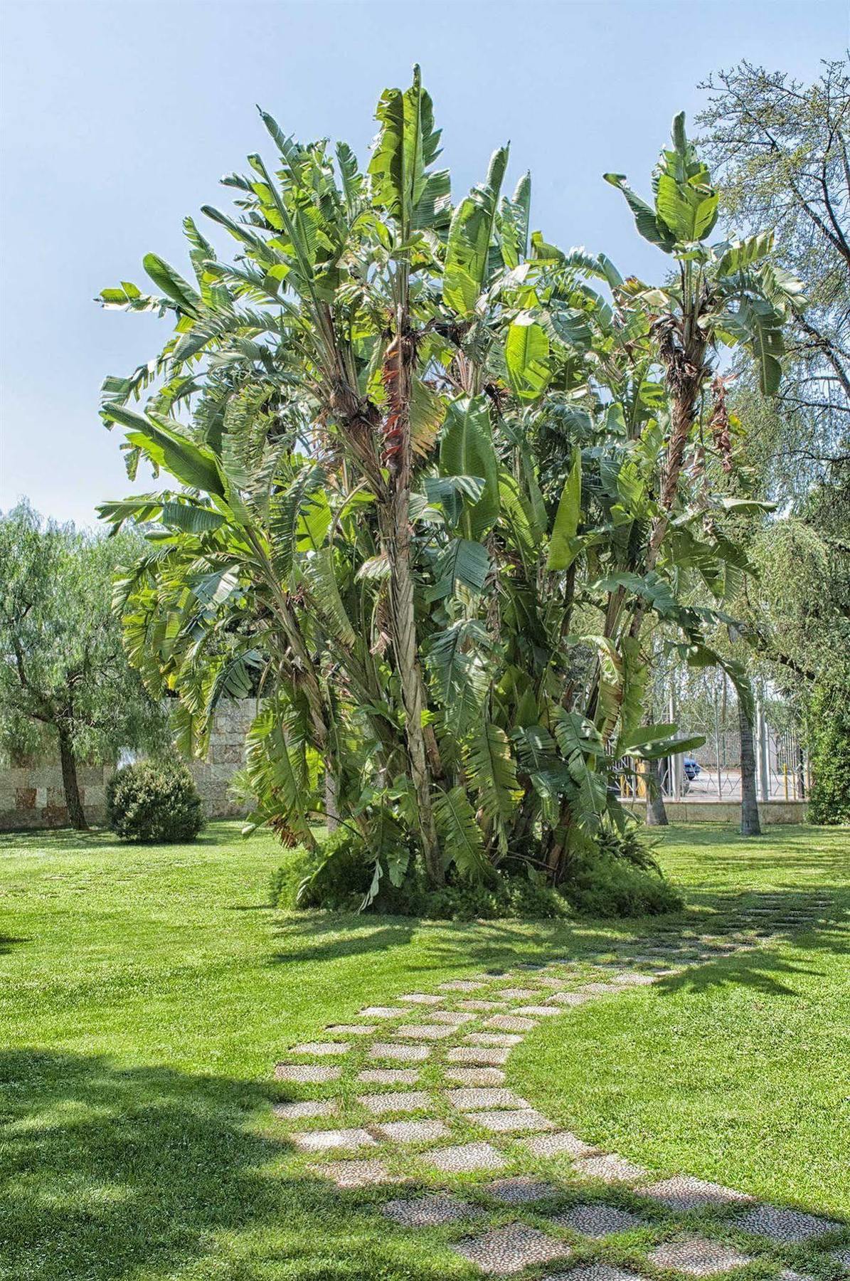 Garden Hotel Molfetta Bagian luar foto